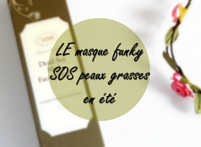 avis_masque_sels_de_la_mer_morte_sabon_4