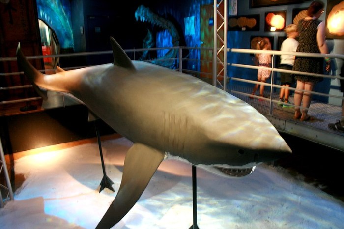 grand_aquarium_saint_malo_5