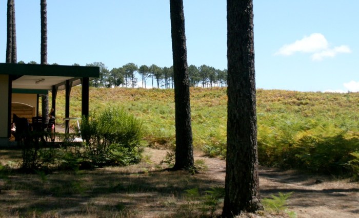 villages_sous_les_pins_les_landes_aquitaine_léon_15