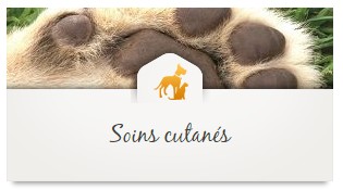 soins_propolia_animaux_chiens_chats_08