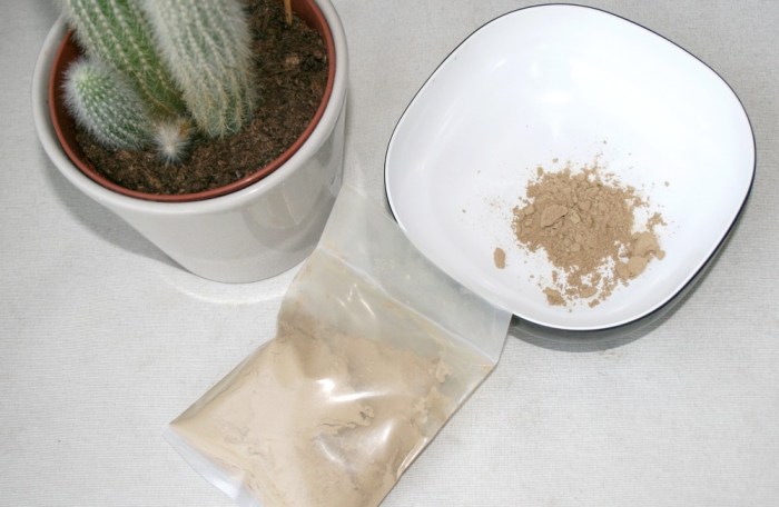 poudre_aloe_vera_yogi_globals_05