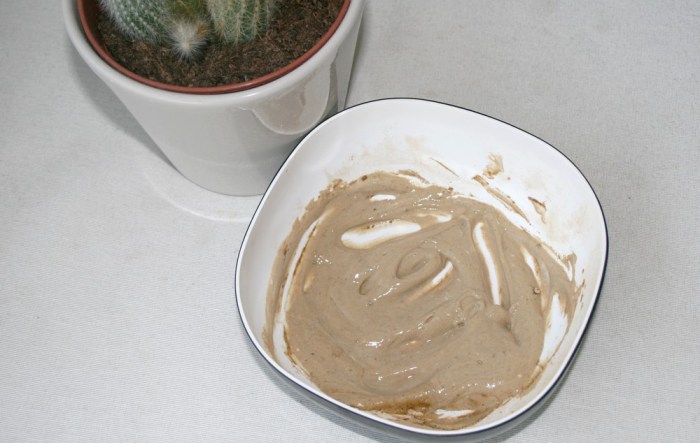 poudre_aloe_vera_yogi_globals_06